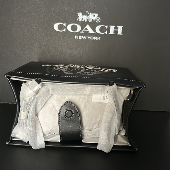 NWT Coach Belvedere Cashin Carry 22 Fire Island Graphic Leather Purse Handbag - Picture 15 of 15